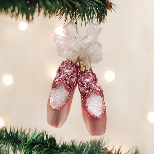 Pair of Ballet Slippers