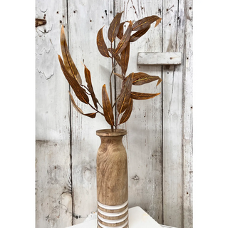 Autumn Eucalyptus Stem