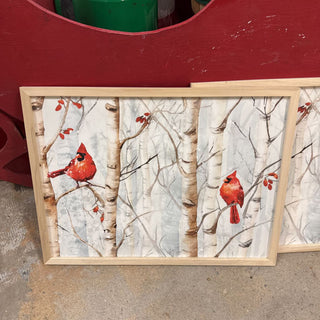 Cardinals Birch Trees
