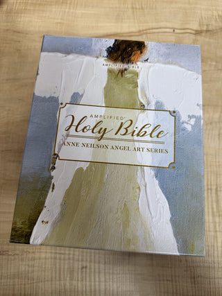 Amplified Holy Bible - Anne Neilson Angel Art Series (Light Blue)