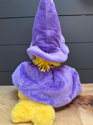 Wizard Woodstock Warmie