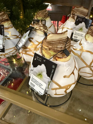 White Flower White Wax Gold Lacquer Splatter Base Amaryllis Bulb